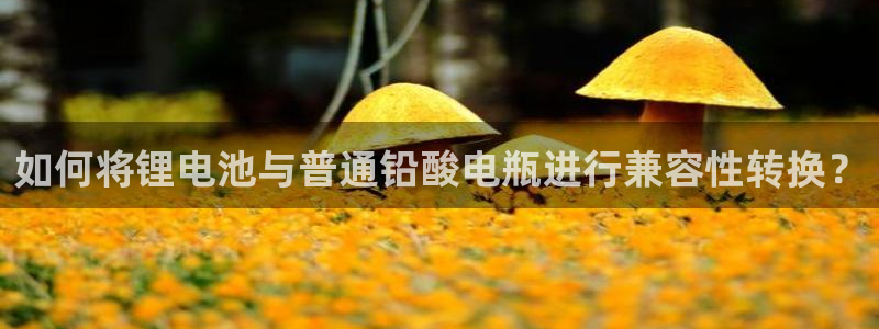 usdt 交易记录查询