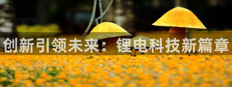 usdt交易能找到充值帐户吗?