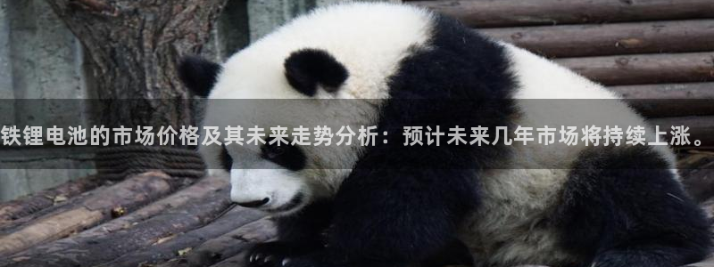 usdt钱包号在哪里看