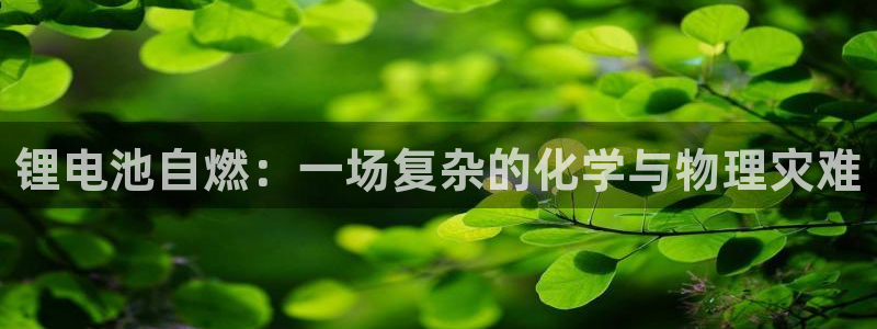 usdt怎么提币到别的地方
