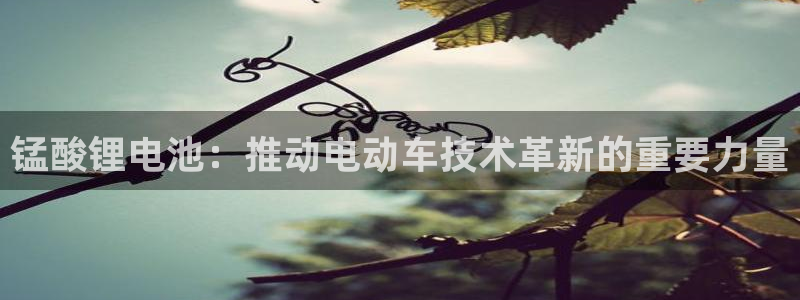 编辑usdt地址