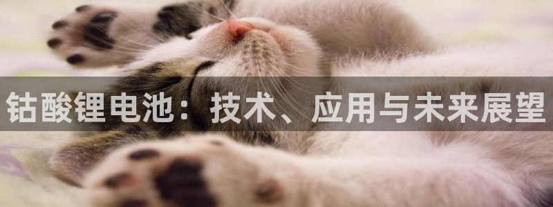 usdt转钱包