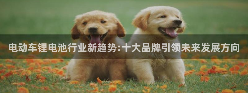 usdt地址怎么看