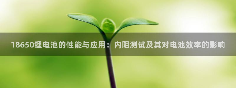 usdt下载流程