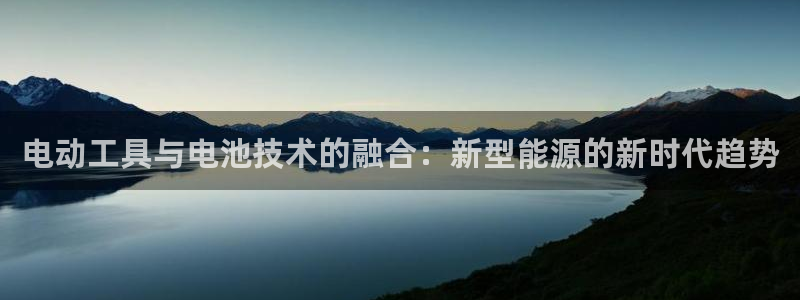 Usdt的钱包怎么转换中文