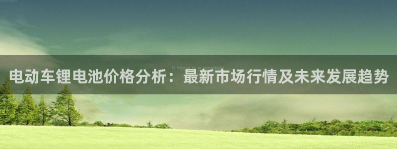 usdt转账查询网站