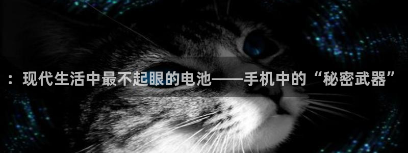 usdt官方地址