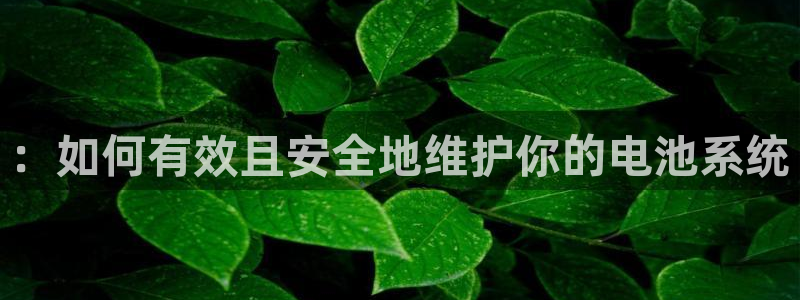 usdt服务商赚钱