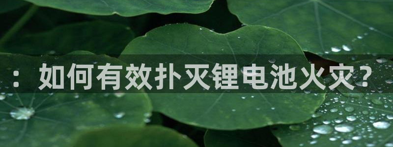 钱包usdt