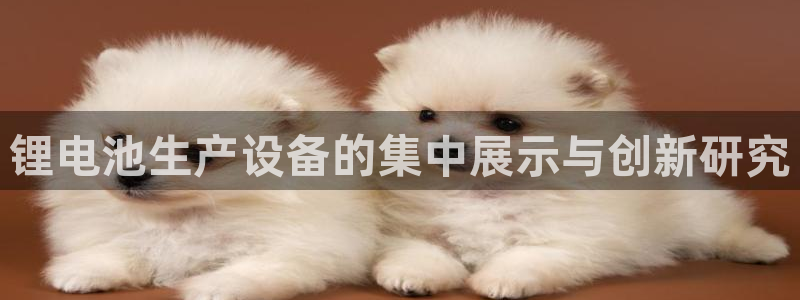 USDT的钱包有哪些
