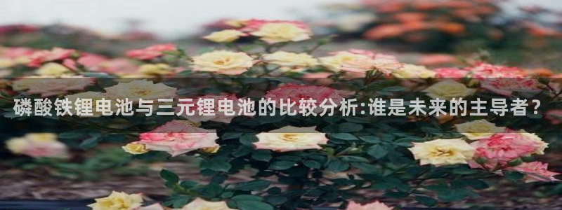 usdt怎么冻结了