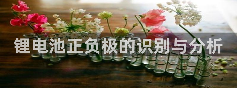 usdt账号模板